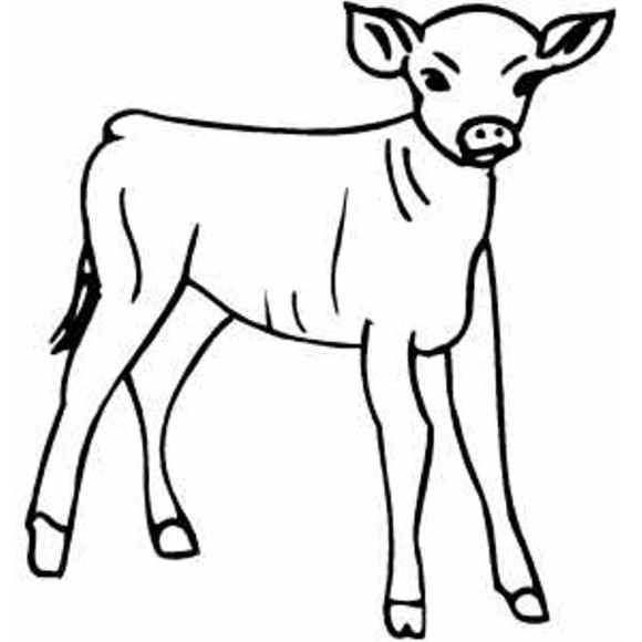 calf black and white clipart