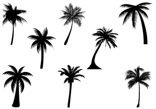 Palm Tree Silhouette Vector GraphicsSilhouette Clip Art 