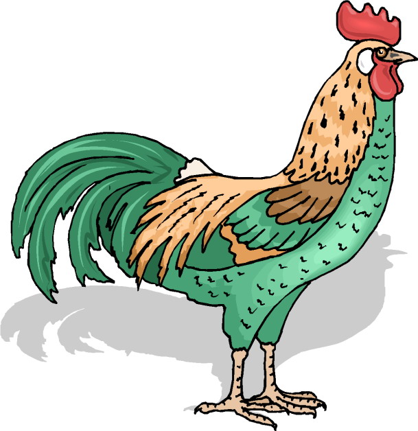 Colorful cartoon rooster with green tail feathers, tan body, red comb, and wattle standing on white background.