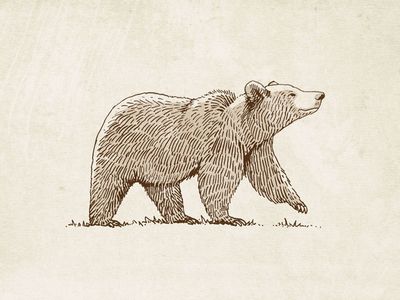 MORE Paddington Bear Wall Graphics from WALLS 360!