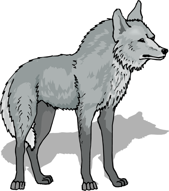 Cartoon wolf face clipart. Free download transparent .PNG