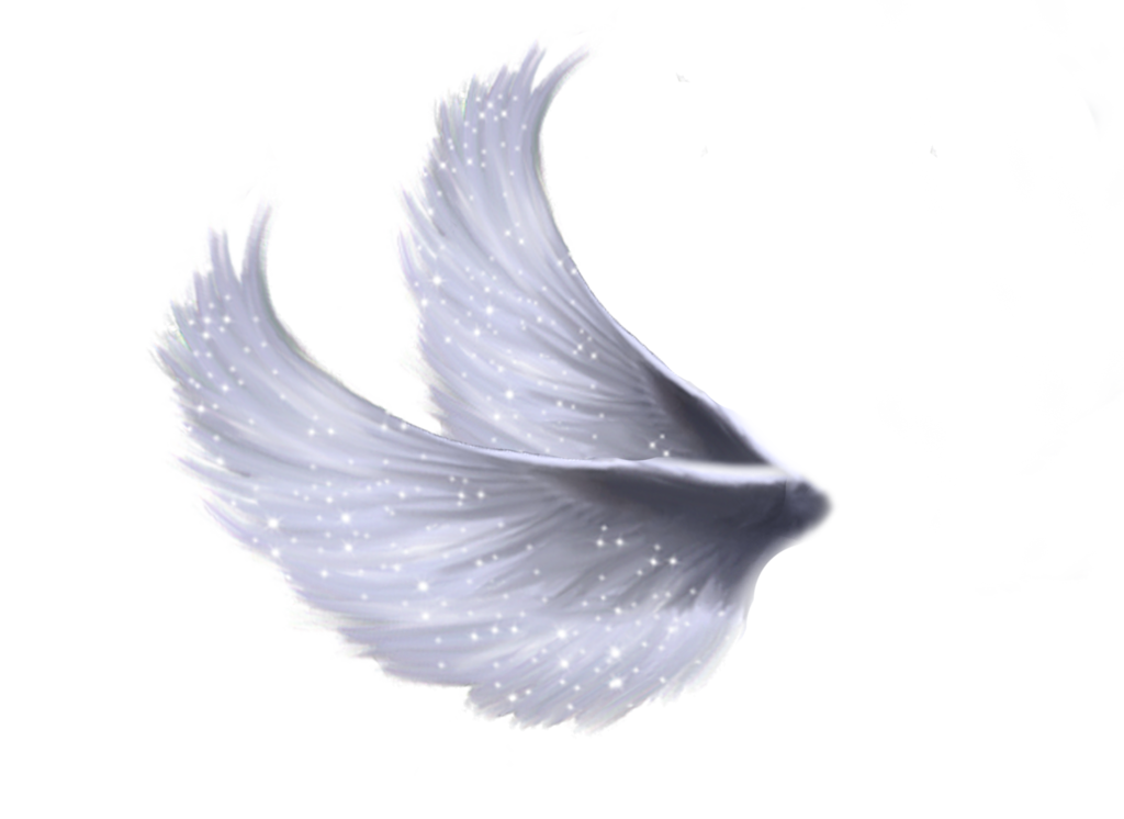 Wings Png 5 by Moonglowlilly on Clipart library