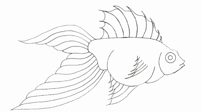 Fish Pencil Drawing