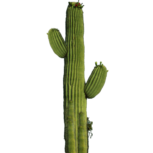 Cactus Sprite Texture - qubodup-JacobimMugatu-ccbysa-gpl 