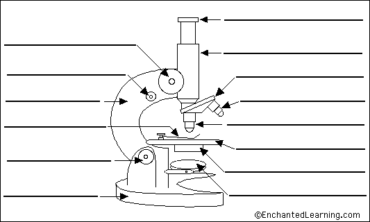 Label Microscope Diagram - EnchantedLearning.com