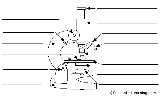 electron microscope with labels