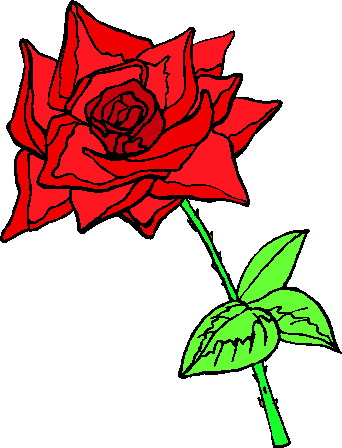 Red Rose Illustration - Free Clipart for Floral Design Projects
