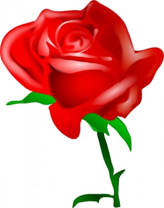 Red Rose clip art Vector clip art - Free vector for free download