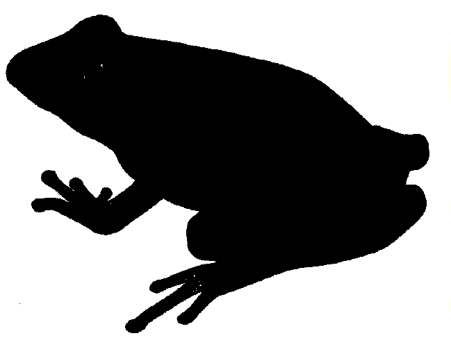Related Pictures White Frog Silhouette With Black Background Clip 