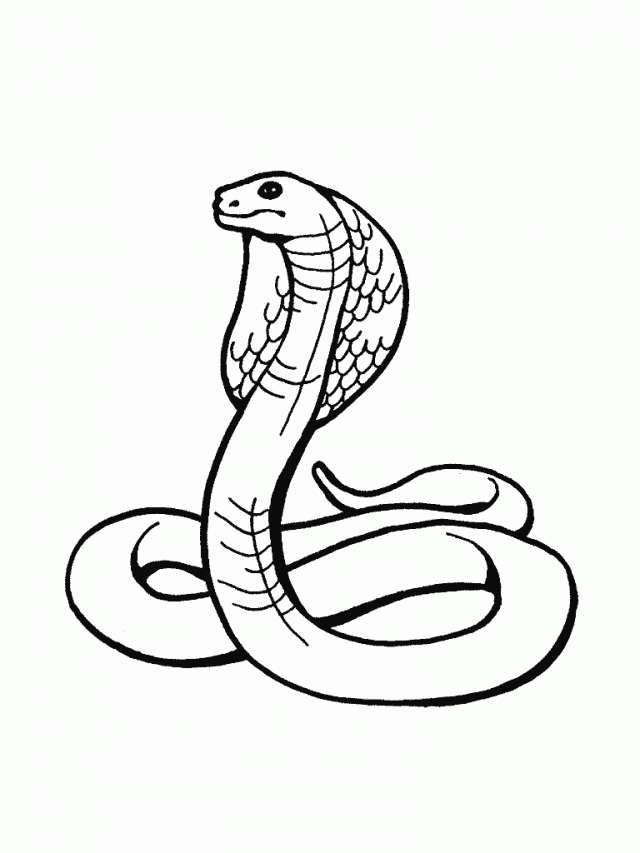Black-and-white line drawing of a cobra in striking pose with flared hood and coiled body.