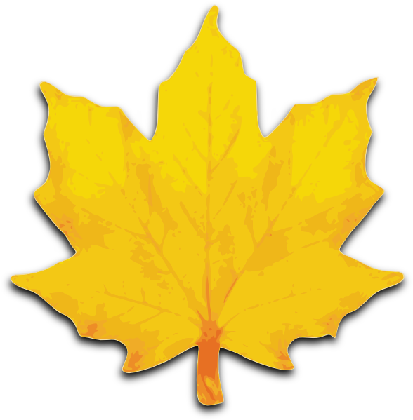 Maple Leaf Clip Art at  - vector clip art online, royalty
