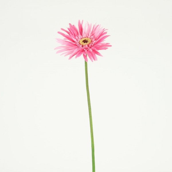 Gerbera Daisy – Silk Flower Stem of the Day | Shinoda Design Center