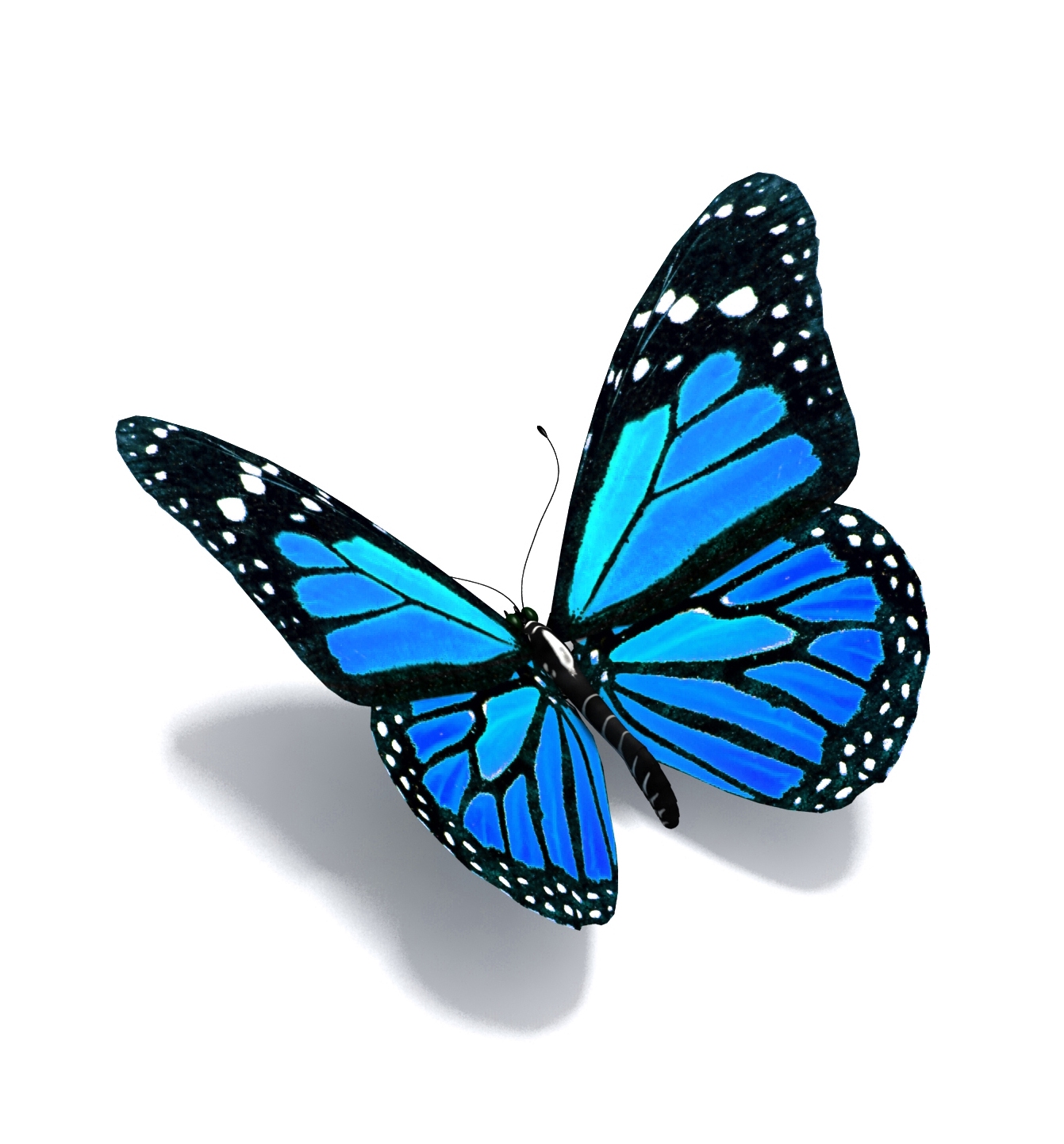 blue-butterfly-drawing-clip-art-library