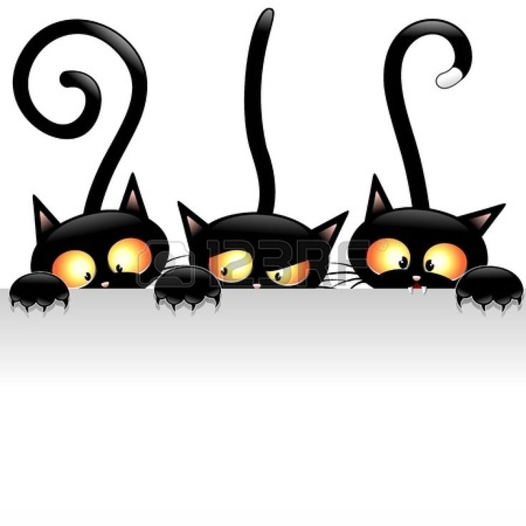 Three cartoon black cats with glowing eyes peeking over a white banner, each with a uniquely curled tail.