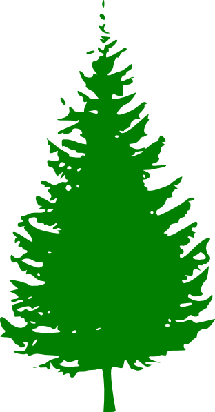 Pine Tree Outline - Clipart library - Clipart library