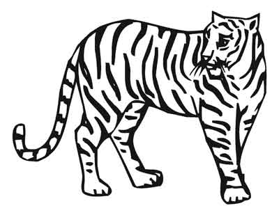 tiger drawings posted in animal drawings animal print black and 
