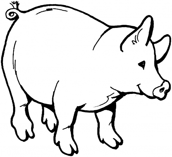 Pix For  Pig Cartoon Outline