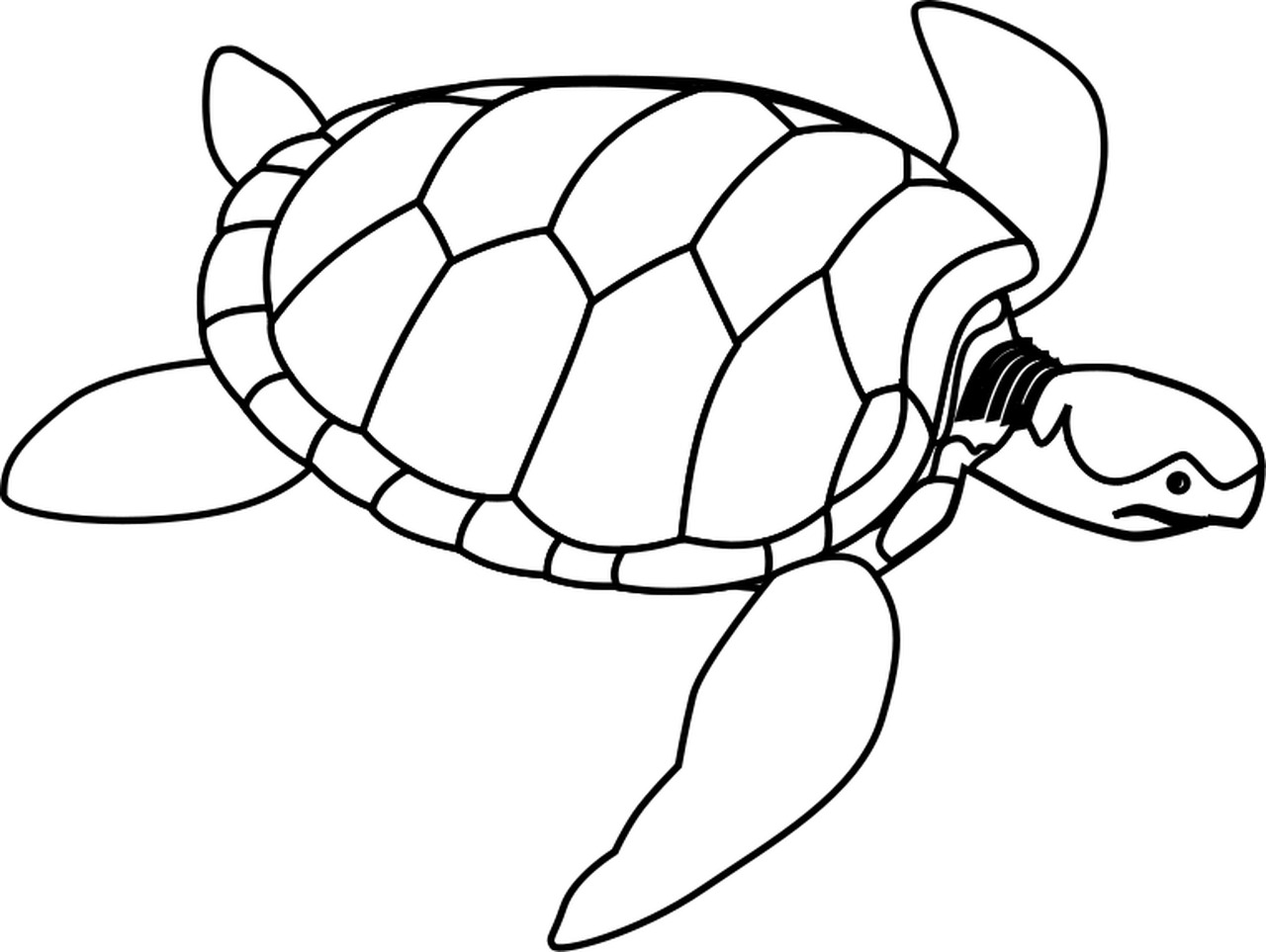 cute turtle clip art black and white