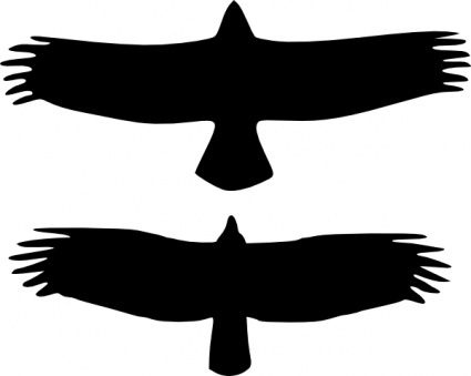 Two black silhouettes of soaring birds of prey, viewed from above and below, against a white background.