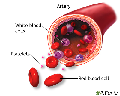 Formed elements of blood: MedlinePlus Medical Encyclopedia Image