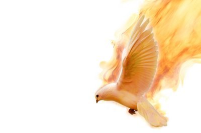 Inspirations have I none / Just to touch the flaming dove – Soul 