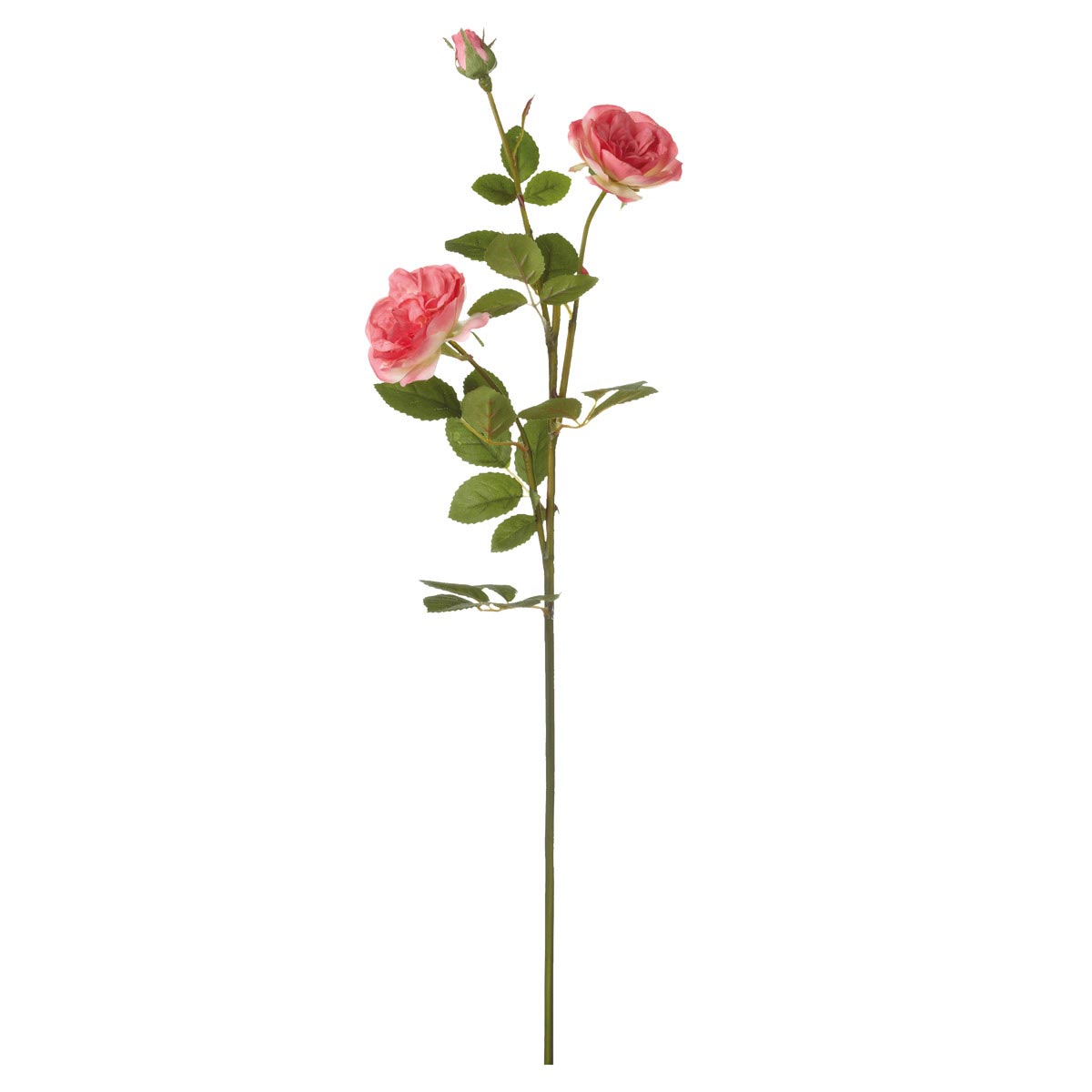 Free Flower Stem, Download Free Flower Stem png images, Free ClipArts ...