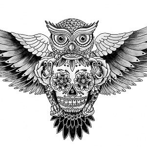 Owl Tattoos APK for Android Download