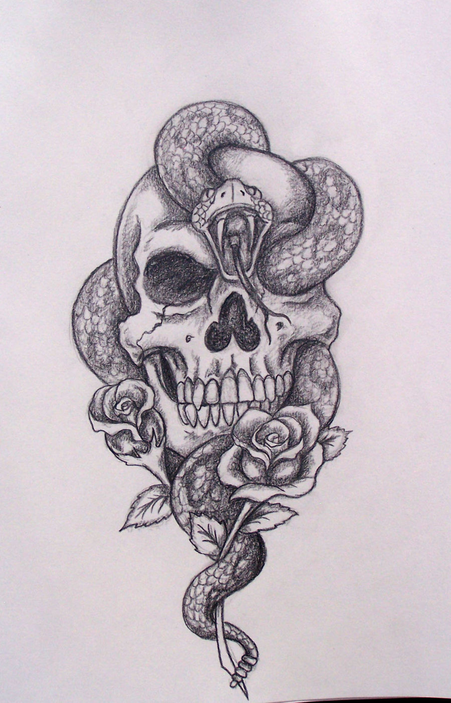 Human skull symbolism Drawing Skull art snake pencil anatomy colored  Pencil png  PNGWing