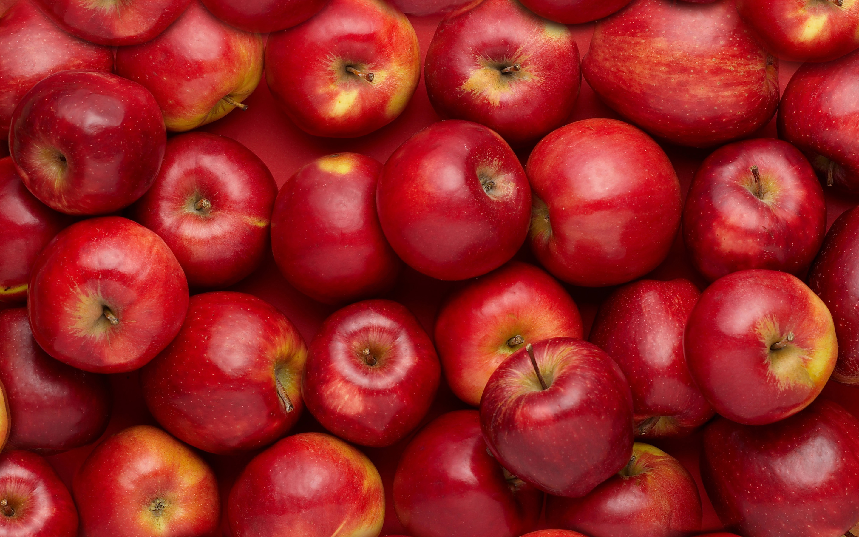 red apple fruit wallpaper