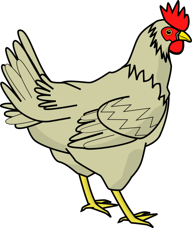 Cartoon illustration of a light beige hen with red comb and wattle, yellow beak and legs, standing against black background.
