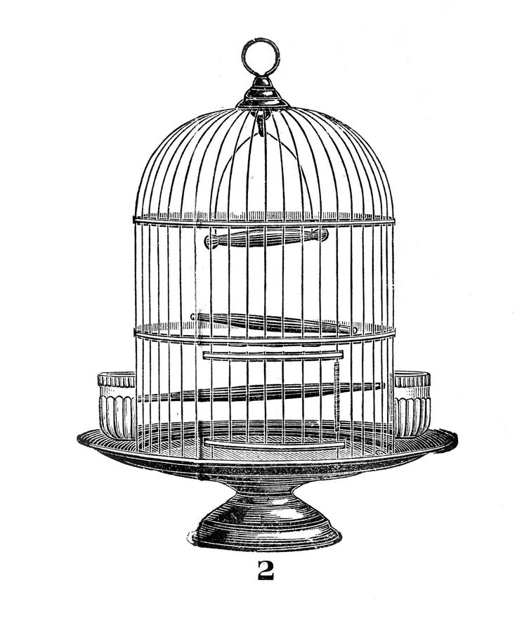 Vintage Clip Art - Victorian Bird Cage