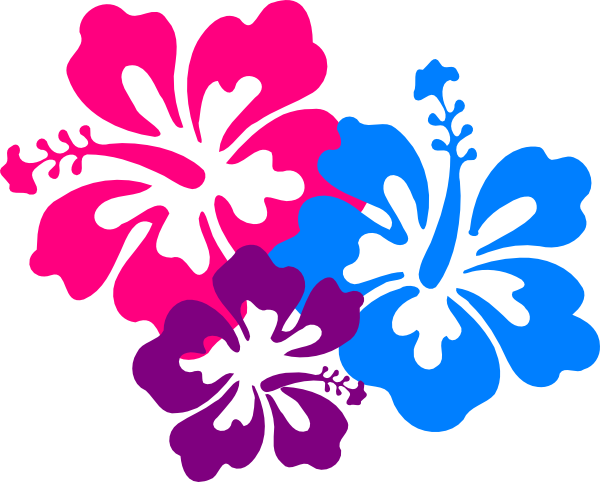 Hibiscus Border Png - Clipart library
