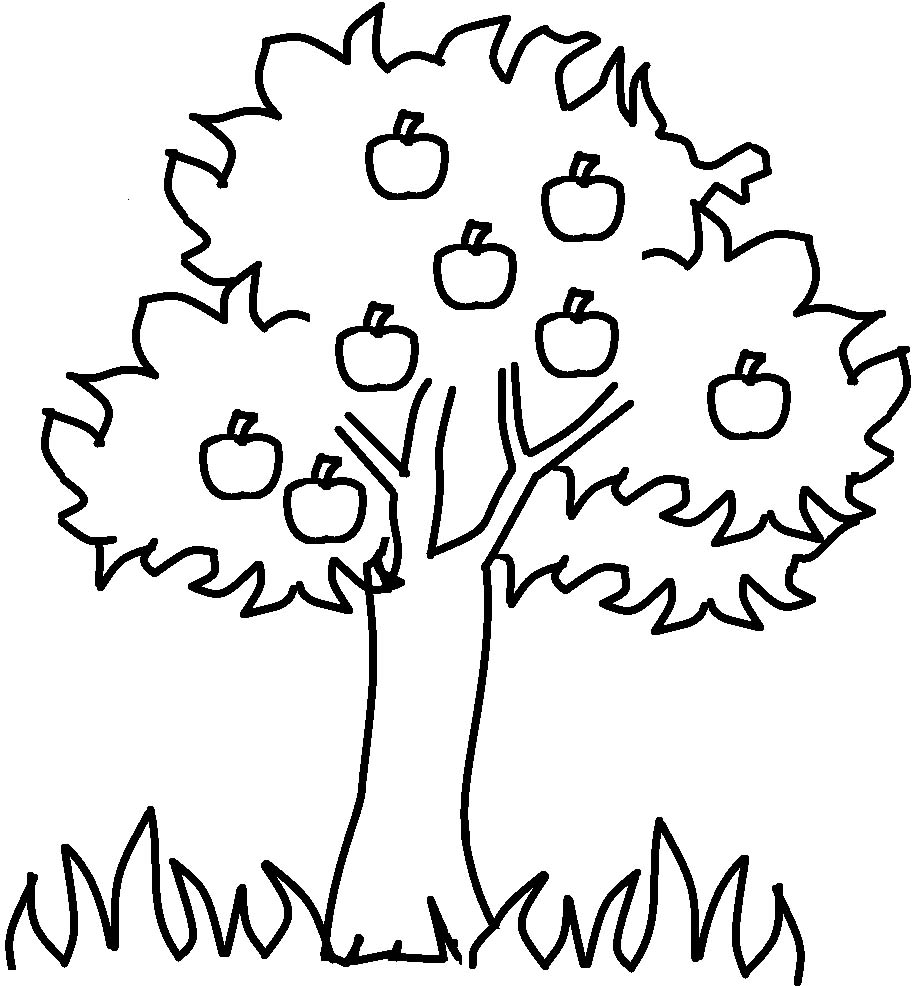 Apple Trees Drawing - Clipart library