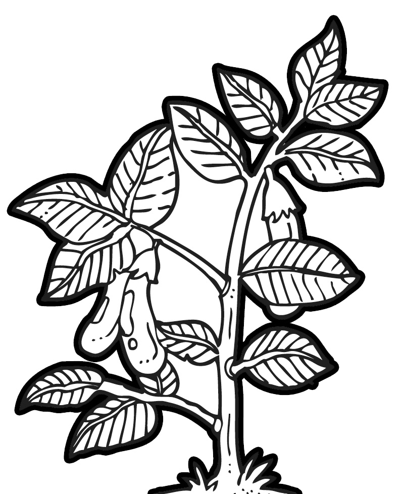 planting trees clipart black and white