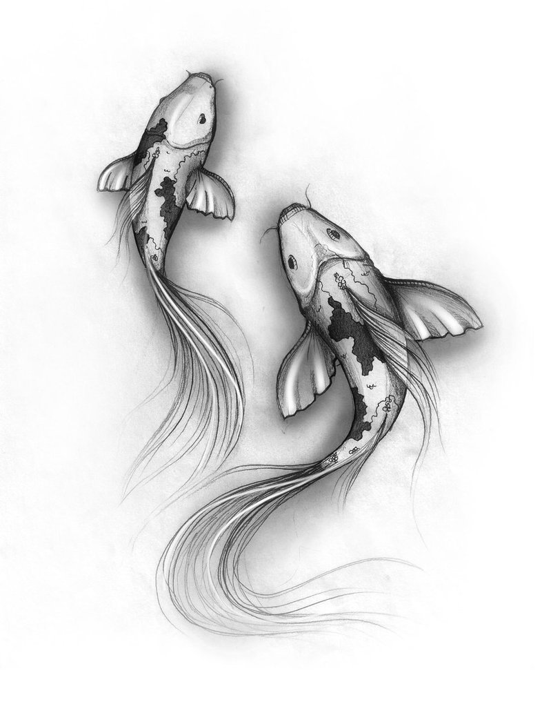 Free Black And White Koi Fish Drawings, Download Free Black And White