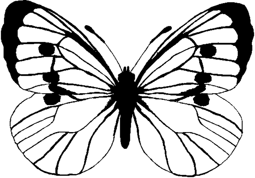 Butterfly | Free Coloring Pages - Part 2
