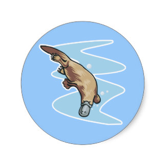 Platypus Swimming Illustration - Fun & Educational Wildlife Art