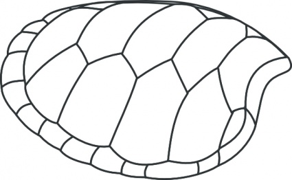 Turtle Shell Anatomy Diagram - Educational Illustration