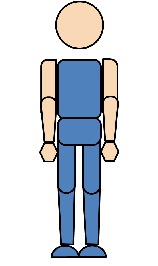 Human Body Diagram - Simplified Anatomical Illustration for Education