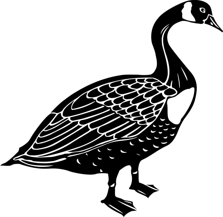 Free Images Of Geese, Download Free Images Of Geese png images, Free ...