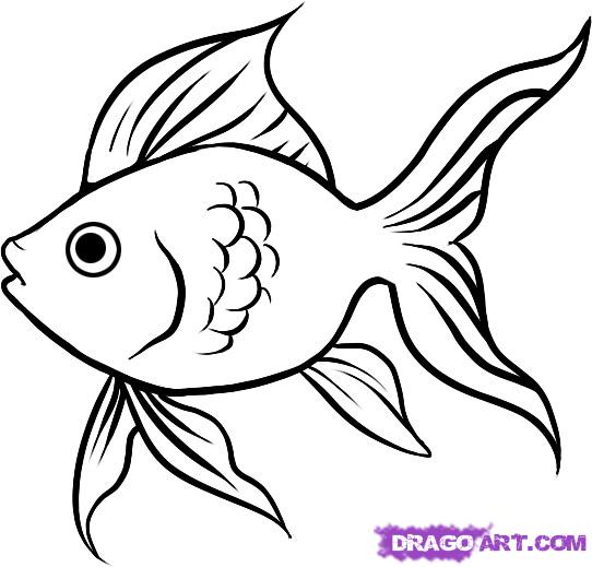 710 Clown Fish Drawing Illustrations RoyaltyFree Vector Graphics  Clip  Art  iStock