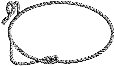 lasso rope png
