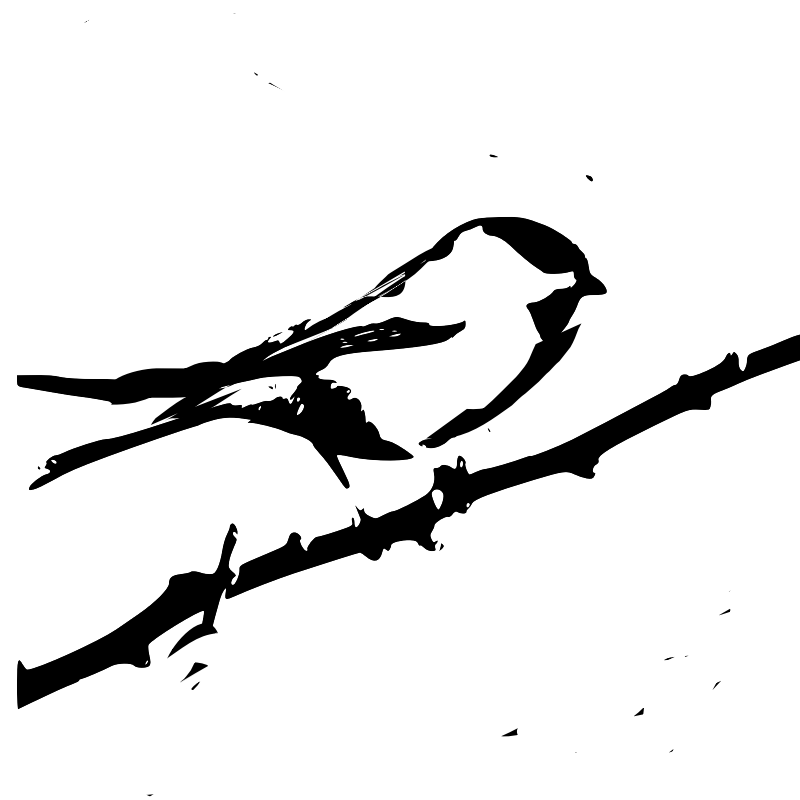 White abstract wave-like vector shape on black background, representing motion or fluid design element.