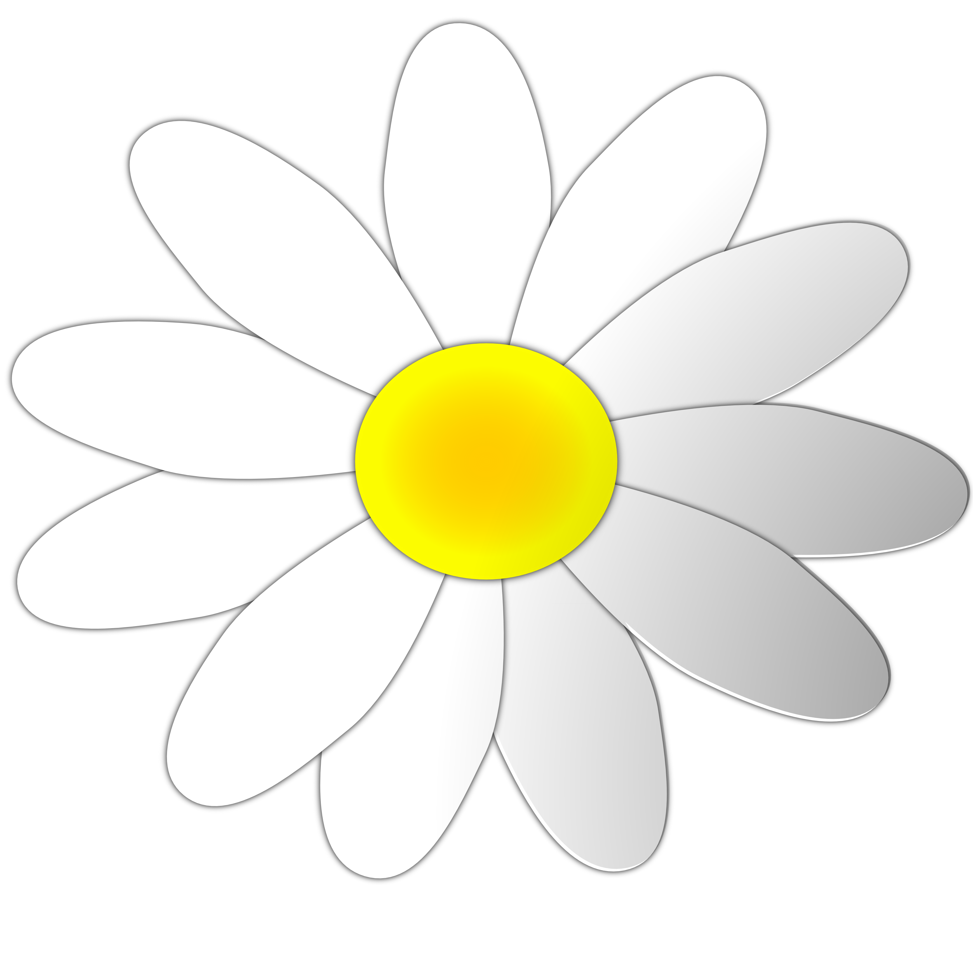 Daisy Flowers Clip Art - Clipart library