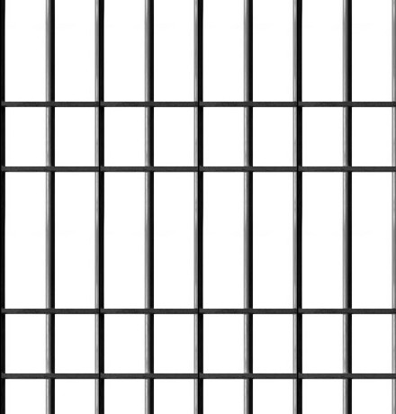 jail cell bars png