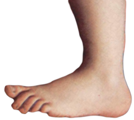 File:Monty python foot.png - Wikimedia Commons
