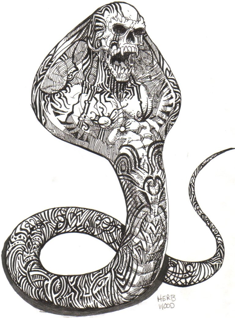 King Cobra Drawing by Art By Three Sarah Rebekah Rachel White - Fine Art  America