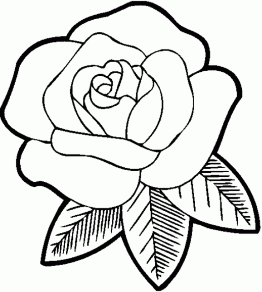 How to Draw a Rose Easy - Open Rose Art Tutorial - Easy Art for Kids | CC -  YouTube