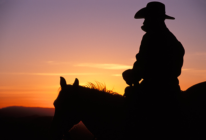 Picture Western - Cowboy on Horse, Silhouette