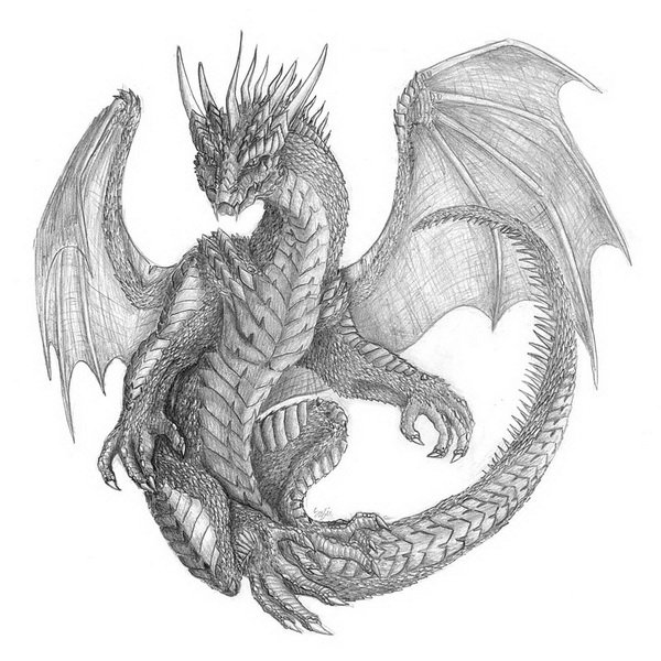 cool dragons pictures to draw